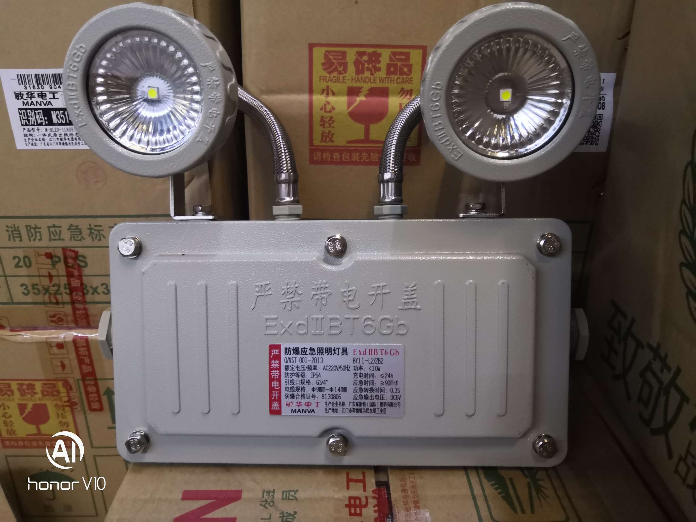 Explosion-proof double-head emergency light, Minhua Electric, emergency light details Picture