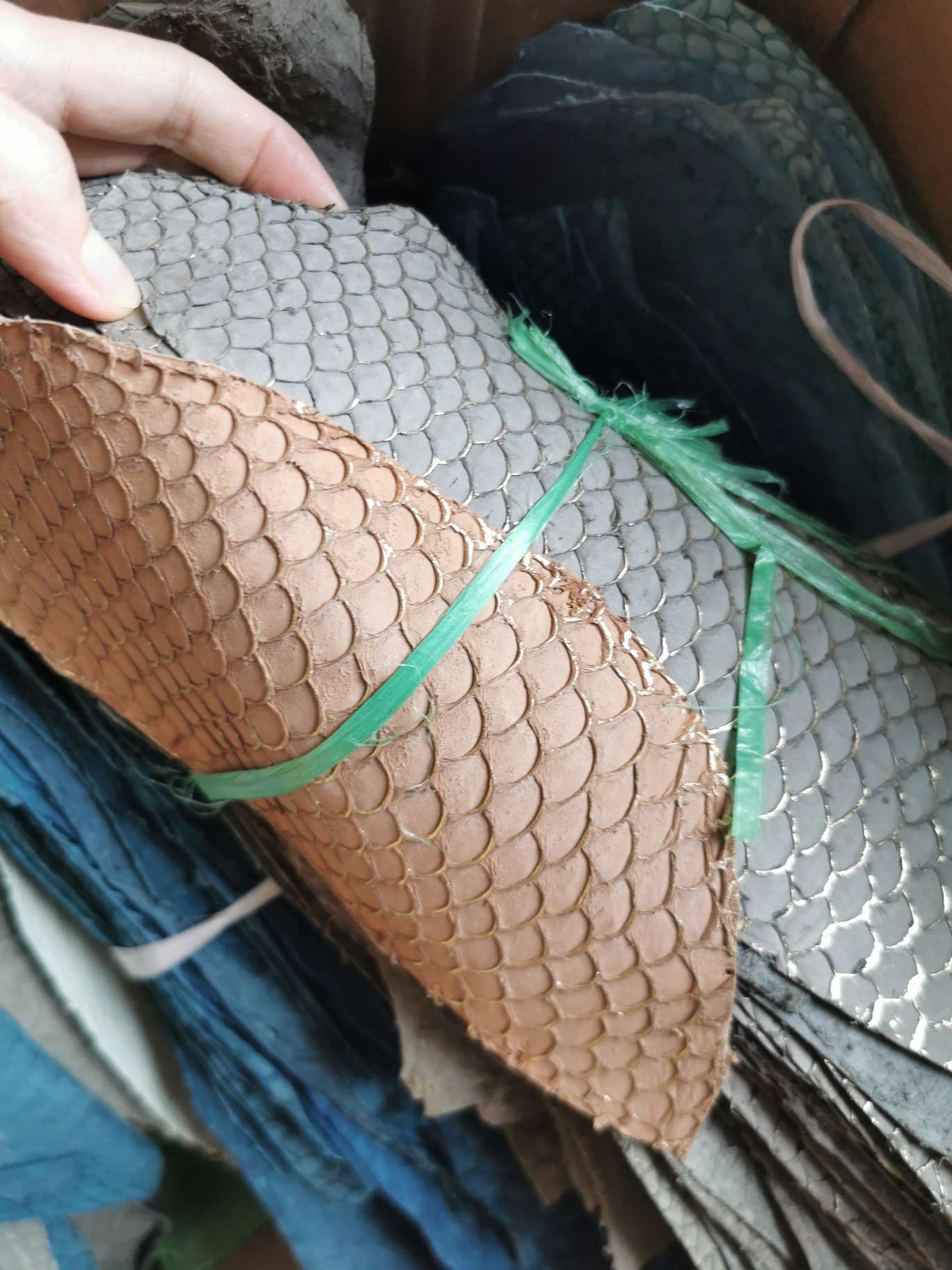 真鱼皮彩色鲤鱼详情图6