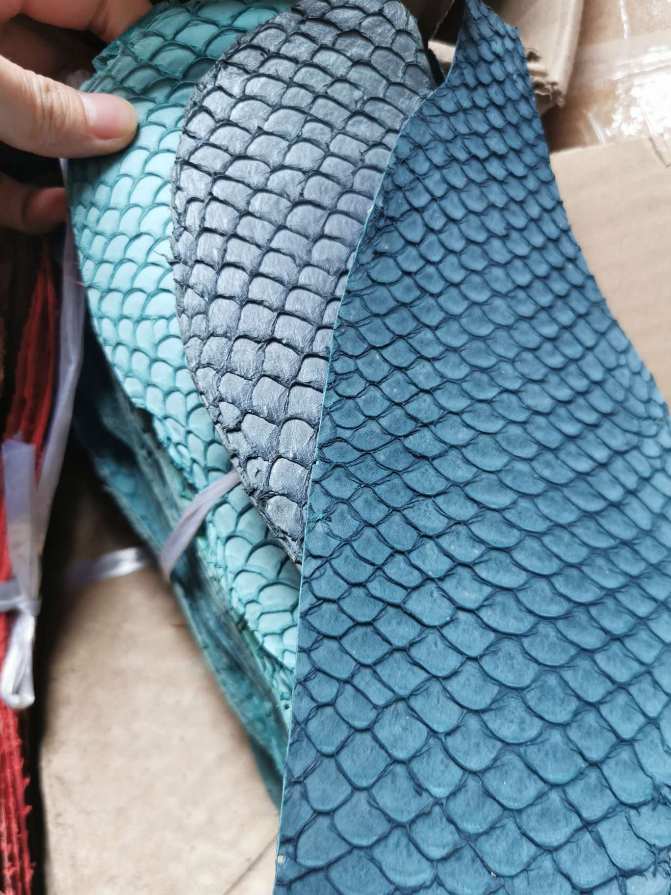 真鱼皮彩色鲤鱼细节图