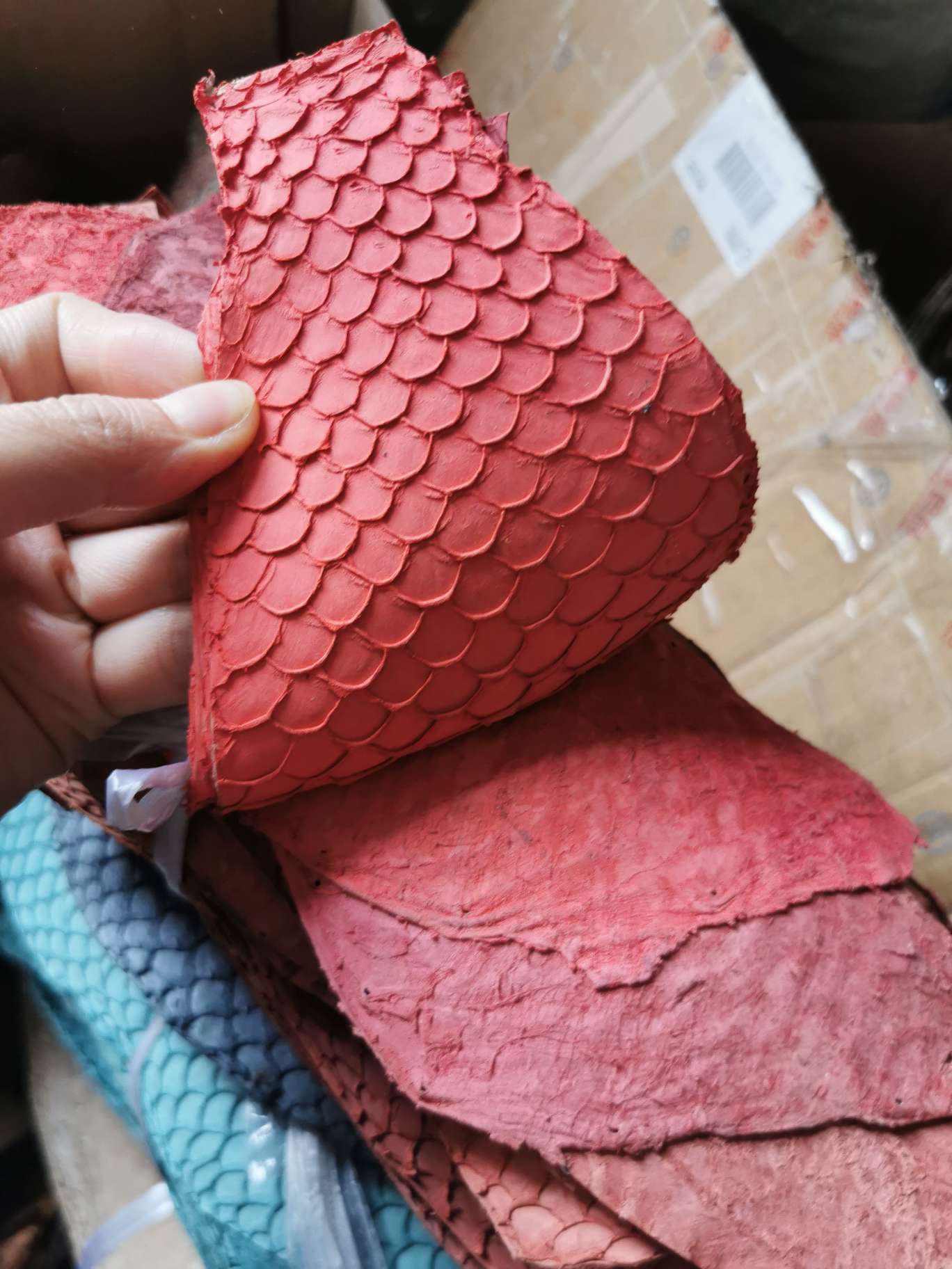 真鱼皮彩色鲤鱼详情图1