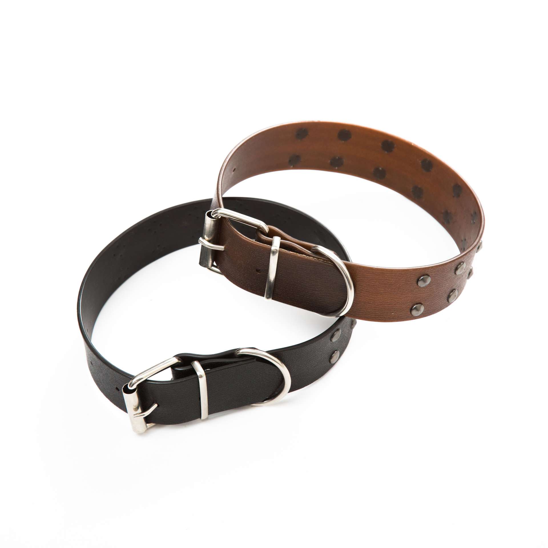 宠物项圈实物图