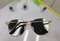 FP1182A款2020年现货太阳镜韩版网红遮阳眼镜时尚大框同款防紫外线太阳眼镜多边形太阳镜潮复古时尚墨镜防辐射眼镜产品图