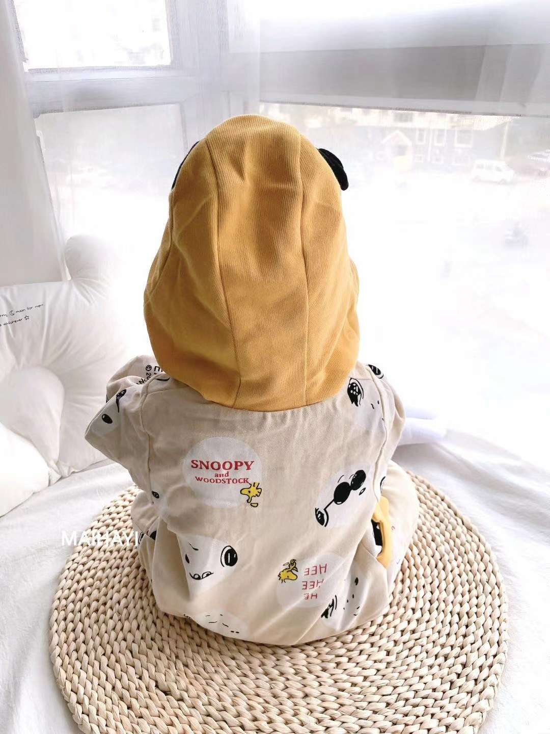 Ziyin's dog is wearing a coat Specification image