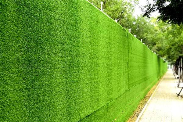草坪网 lawn net细节图