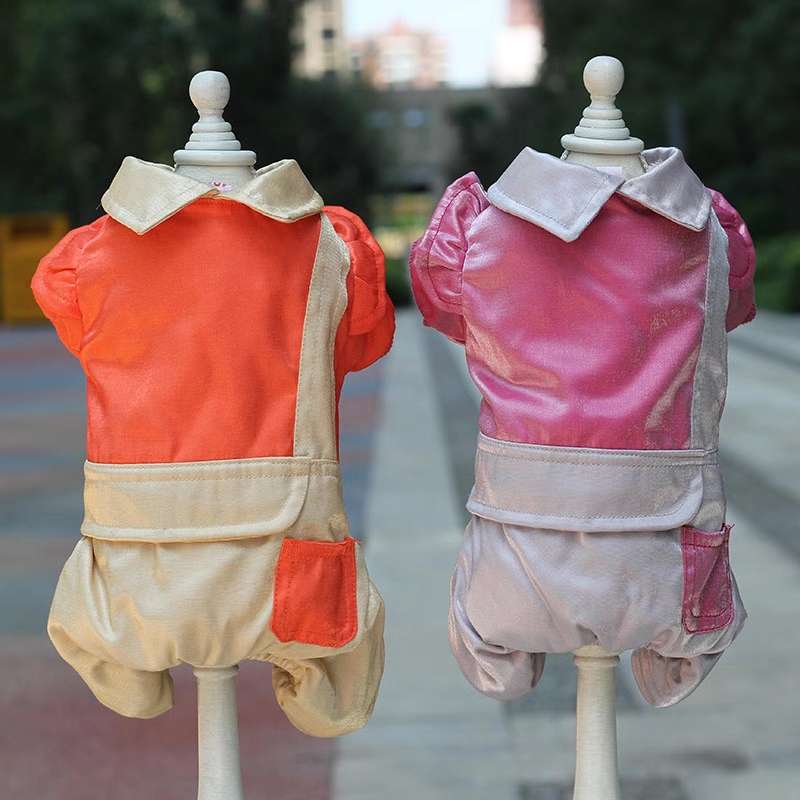 Guys, the dogs look great on the top! Give me the list! Baby pets in new clothes! Pet products and clothing details Picture
