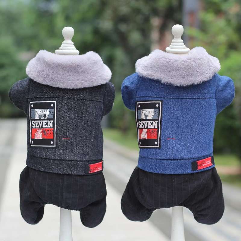 Guys, the dogs look great on the top! Give me the list! Baby pets in new clothes! Pet products and clothing undefined