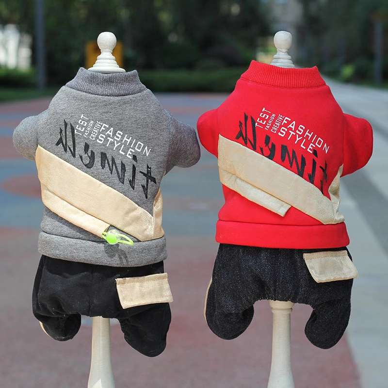 Guys, the dogs look great on the top! Give me the list! Baby pets in new clothes! Pet products and clothing Application Scenario