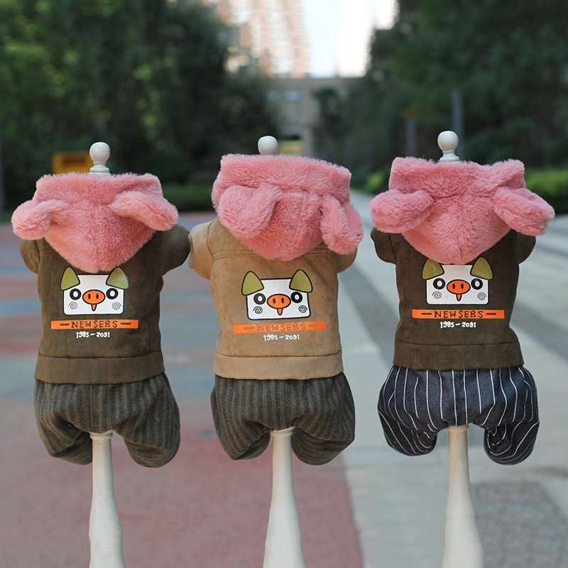 Guys, the dogs look great on the top! Give me the list! Baby pets in new clothes! Pet products and clothing undefined