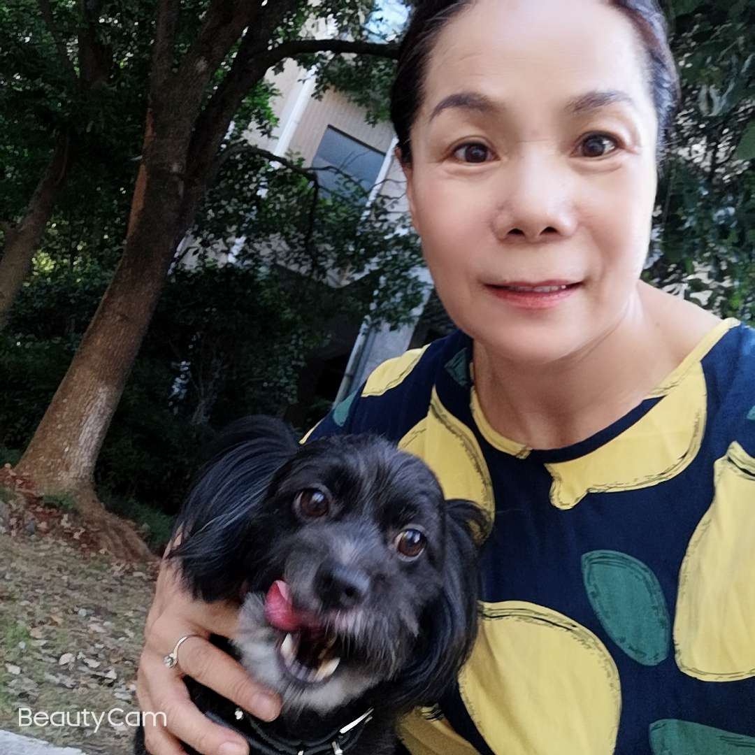 Anti-scavenging comfort mask, wash repeatedly! Breathable and comfortable, pet babies feel good wearing! Specification drawing