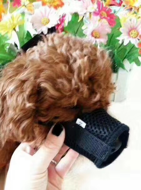 Anti-scavenging comfort mask, wash repeatedly! Breathable and comfortable, pet babies feel good wearing! details Picture