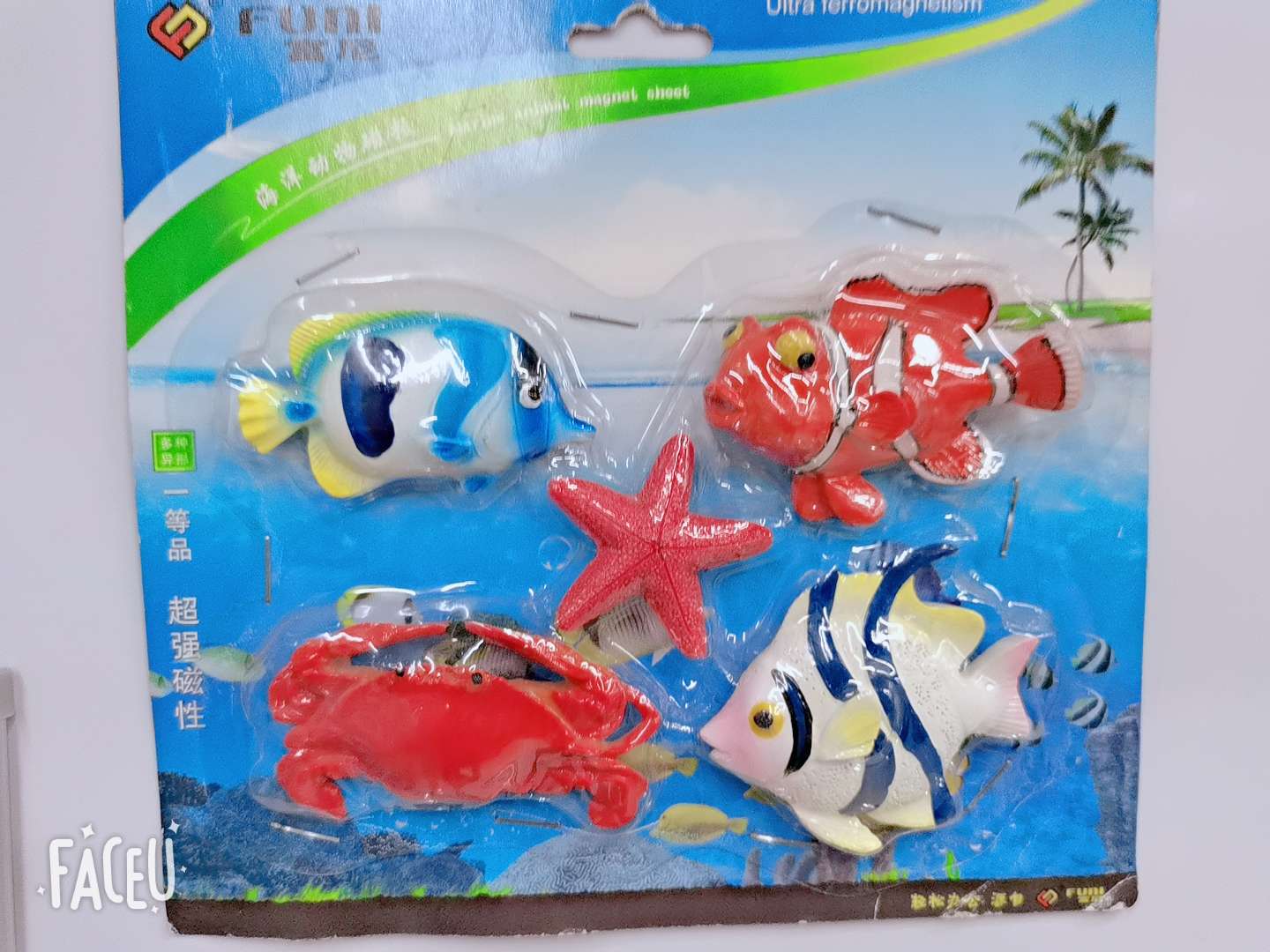 Ct-6683 Marine Animal Magnetic Sheet details Picture