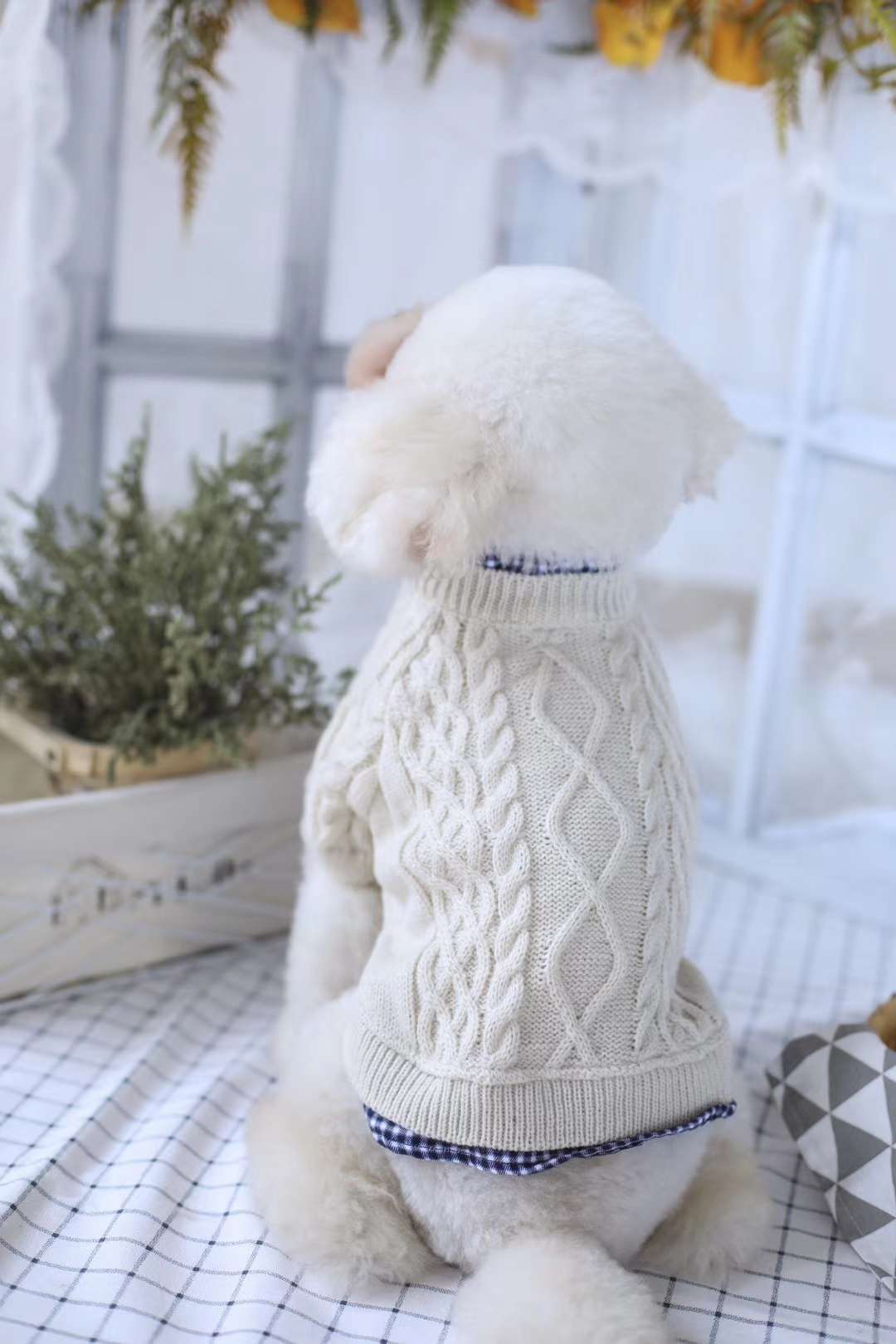 宠物用品衣服宠物毛衣今年秋冬，必不可少，一定要推的款详情1