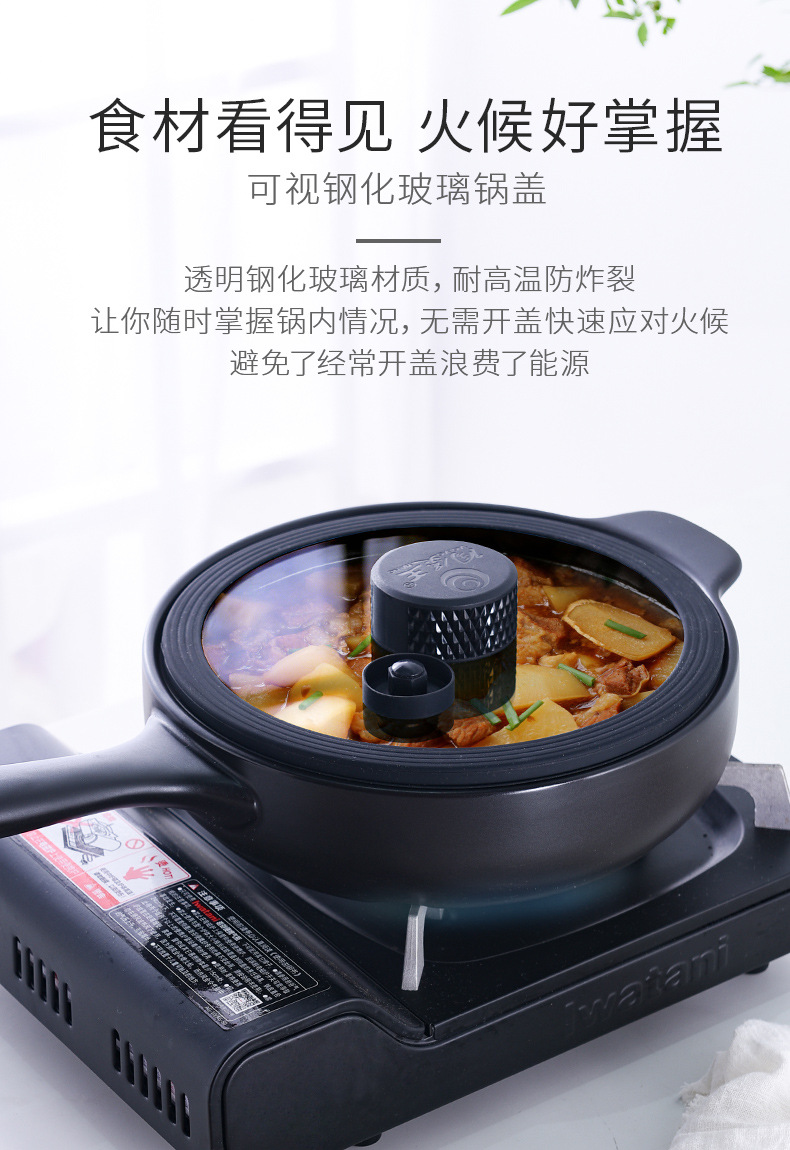 陶煲王微压防溢砂锅炖锅家用煲汤燃气煲汤锅陶瓷煲煤气灶专用汤锅 （长手柄款）