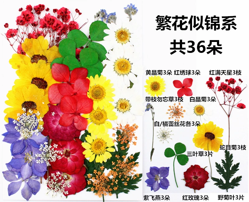 干花材料包DIY植物押花混合搭配干花画框蜡烛详情图12