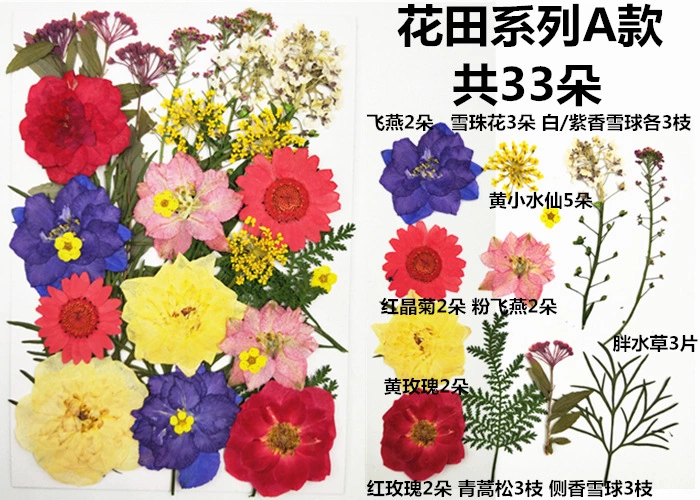 干花材料包DIY植物押花混合搭配干花画框蜡烛详情图7