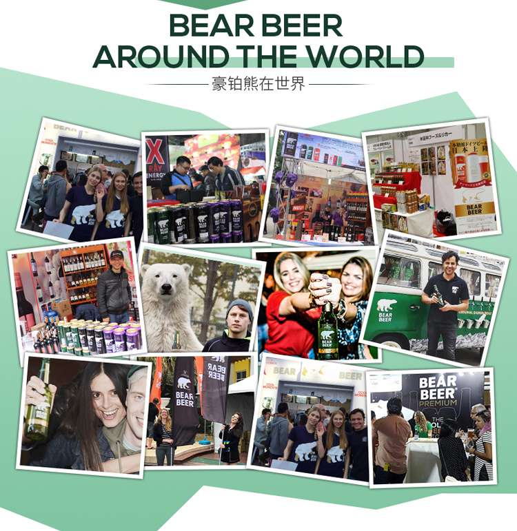 德国进口豪铂熊Bear Beer IPA啤酒5.6°白底实物图