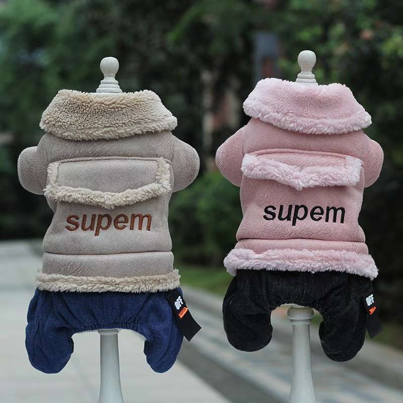 狗狗服装实物图