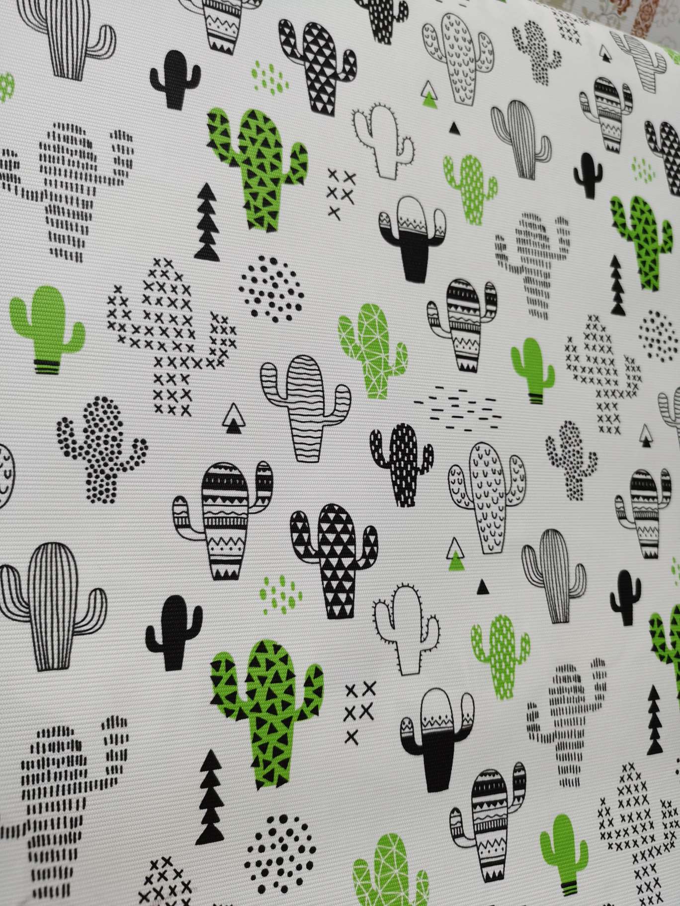 纱线印花仙人掌款式产品图