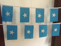 索马里串旗