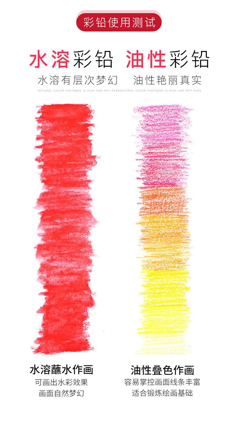 Faber-gaba 12-color water-soluble colored pencils from Germany come with a 12-hole pencil case. Children's doodling coloring, student drawing water-soluble colored pencils. Zhejiang General distributor detail image 5