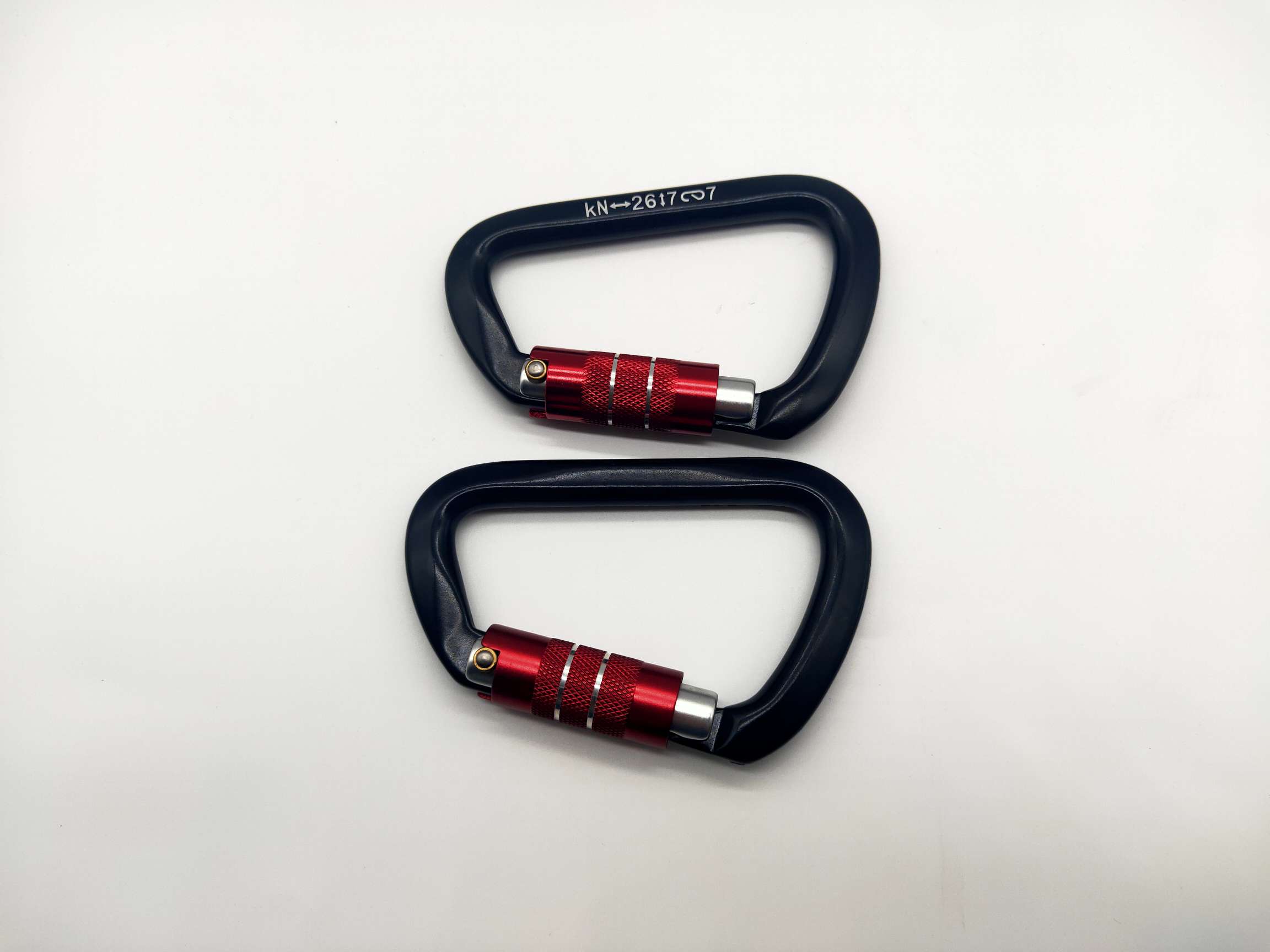Type D Mountaineering Buckle Master Lock 2500 Item Picture