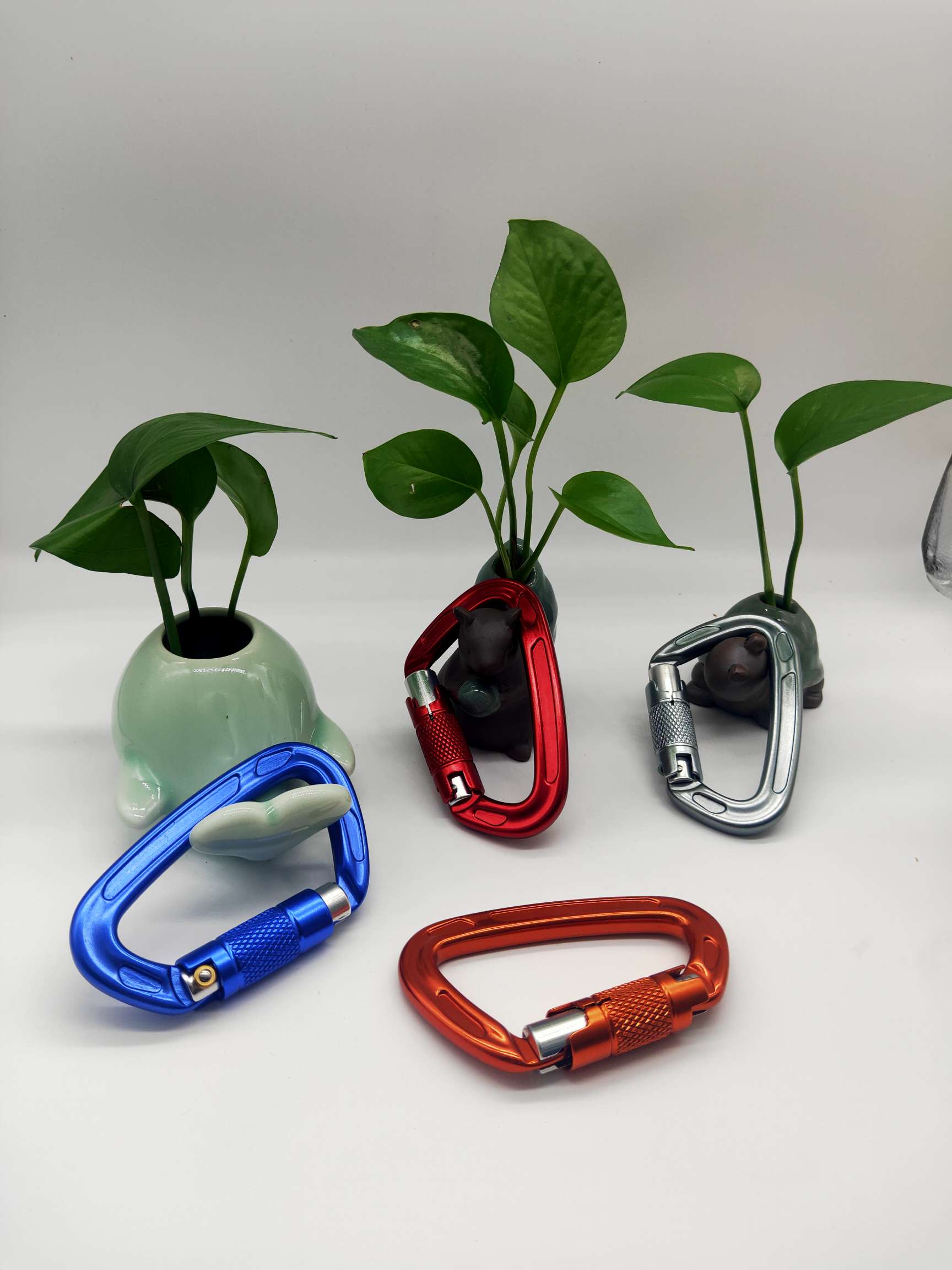 Type D Mountaineering Buckle 22Kg Rock Climbing Quick Hook 7075 Aviation Aluminum Buckle Camping Equipment Hammock Safety Buckle Application Scenario
