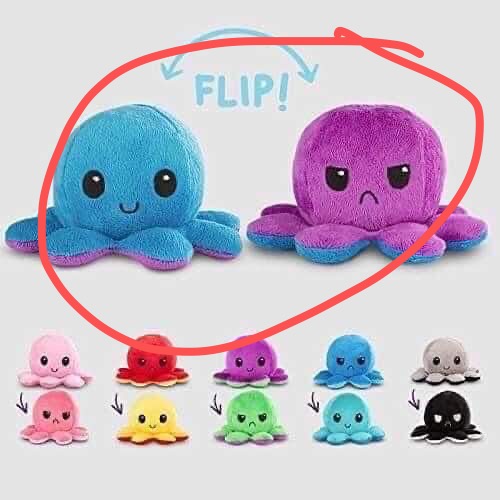 章鱼20-25/35厘米爆款详情图4