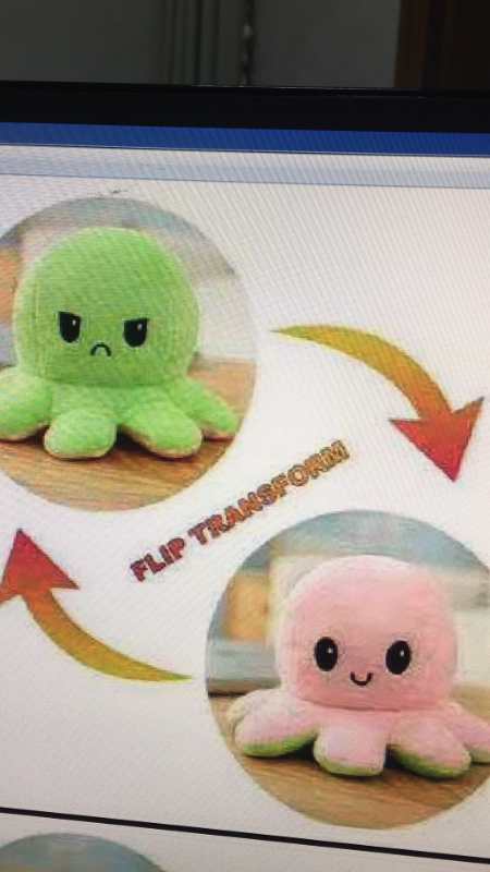 章鱼20-25/35厘米爆款详情图2