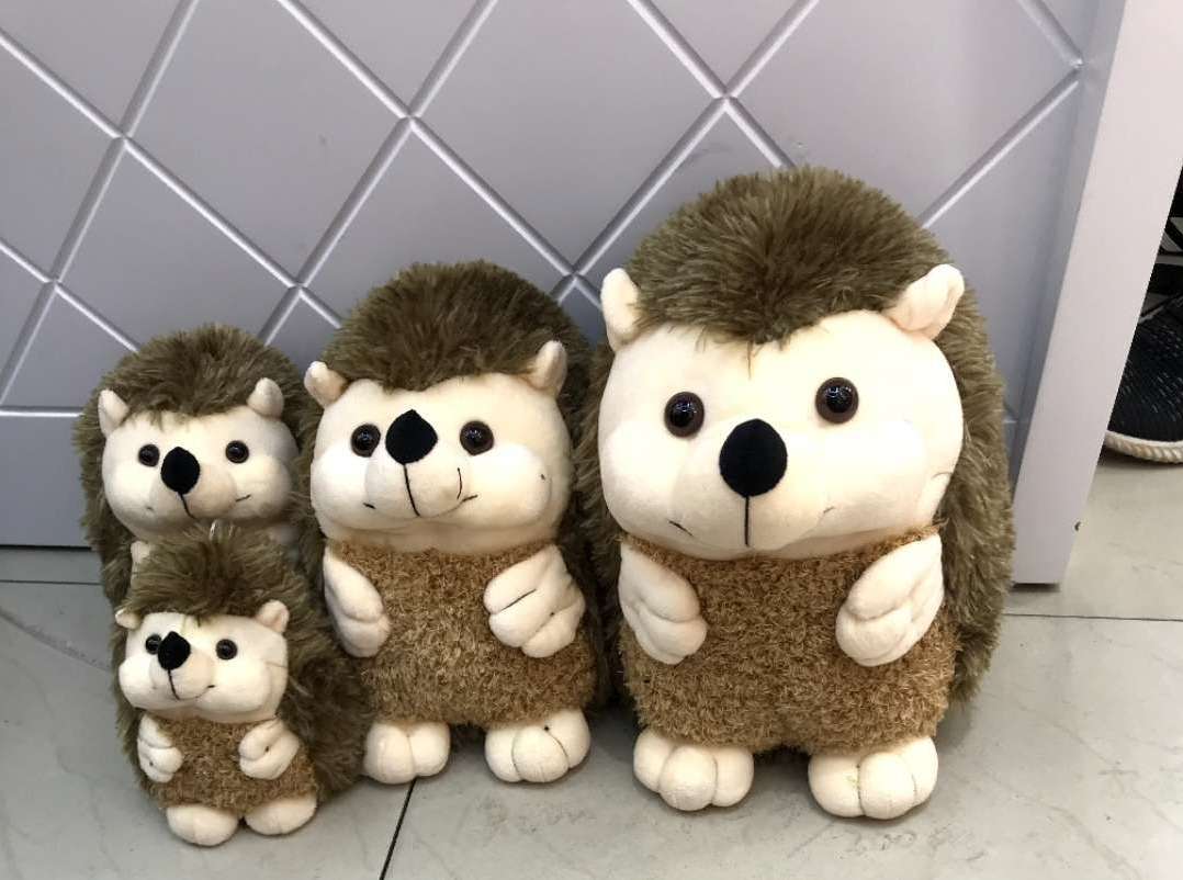 The high-quality goods the hedgehog