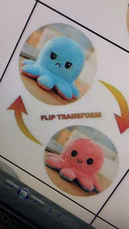 章鱼20-25/35厘米爆款详情图3