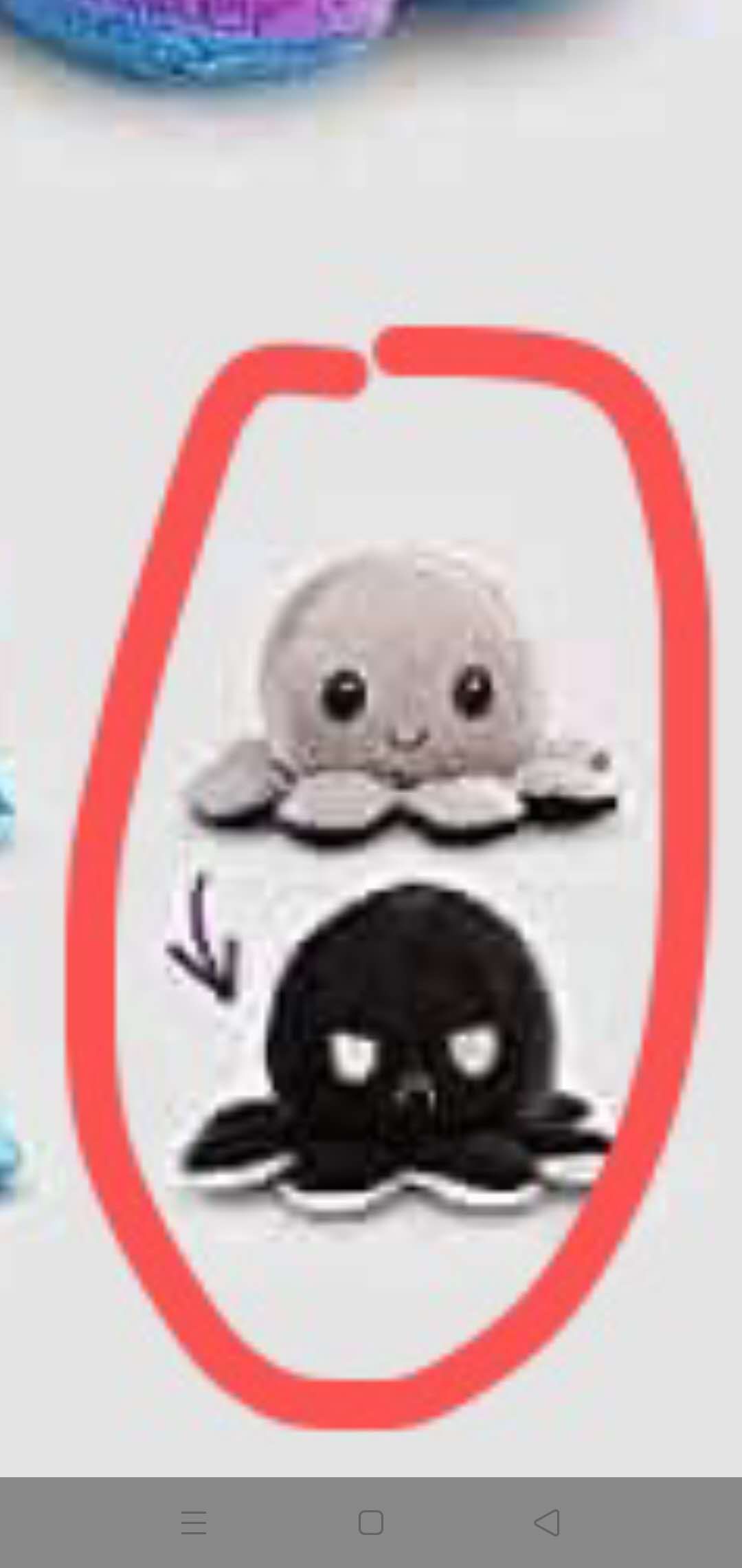 章鱼20-25/35厘米爆款详情图6