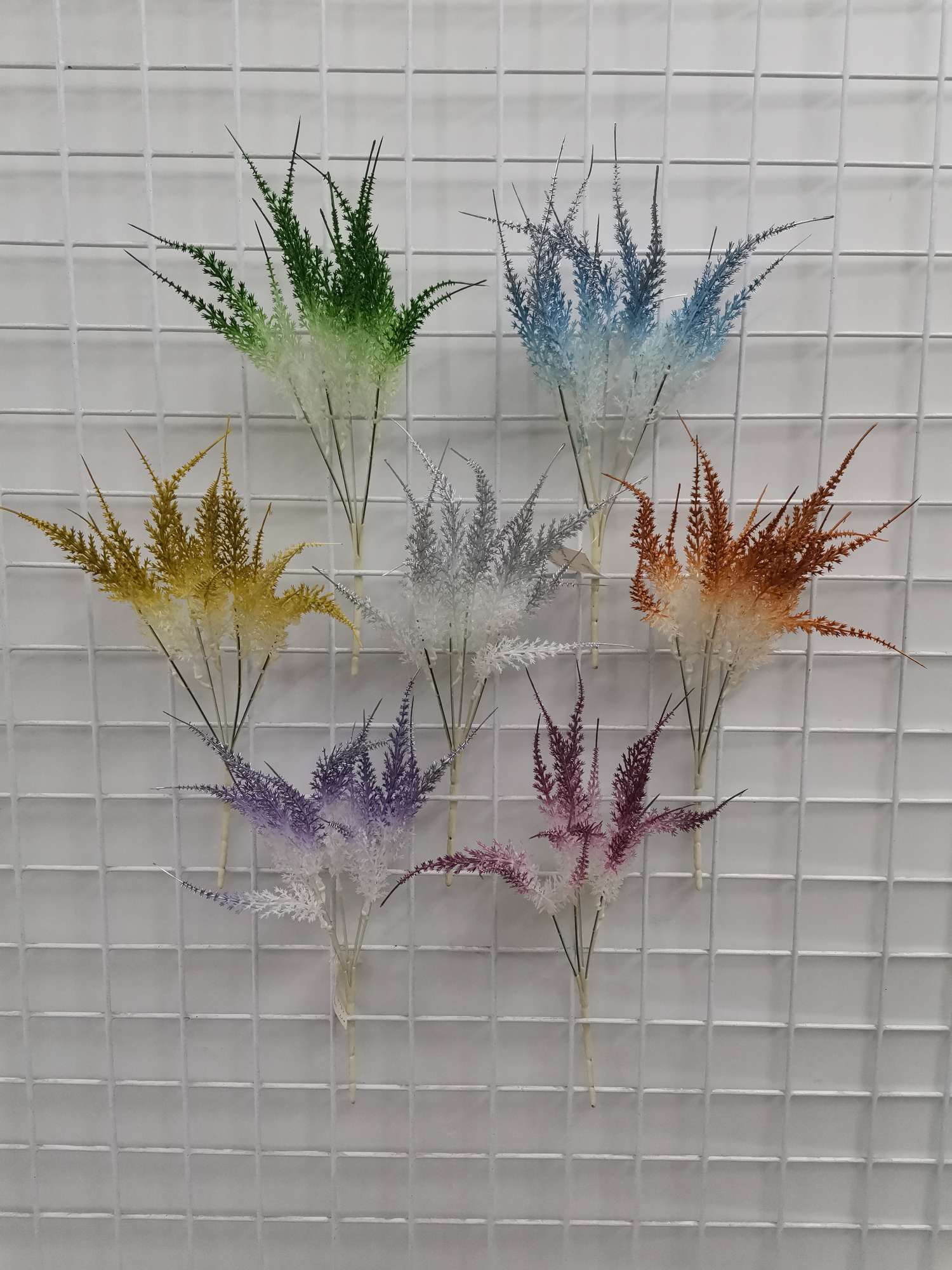 246#-019-017，5叉金针草