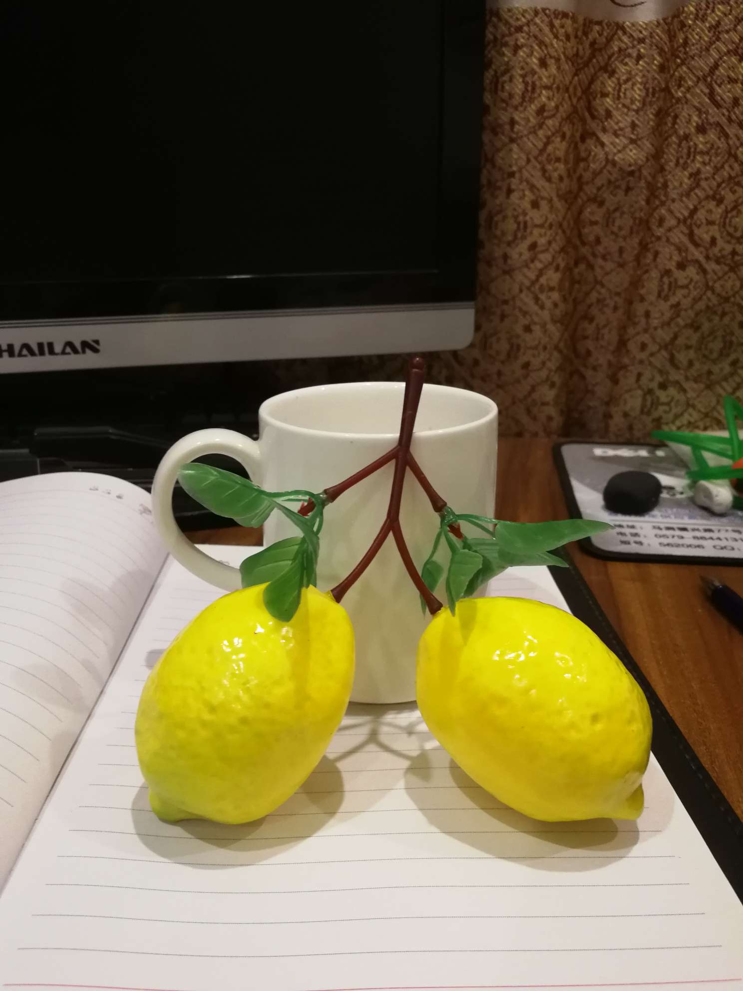 55 Lemon skewers 541 details Picture