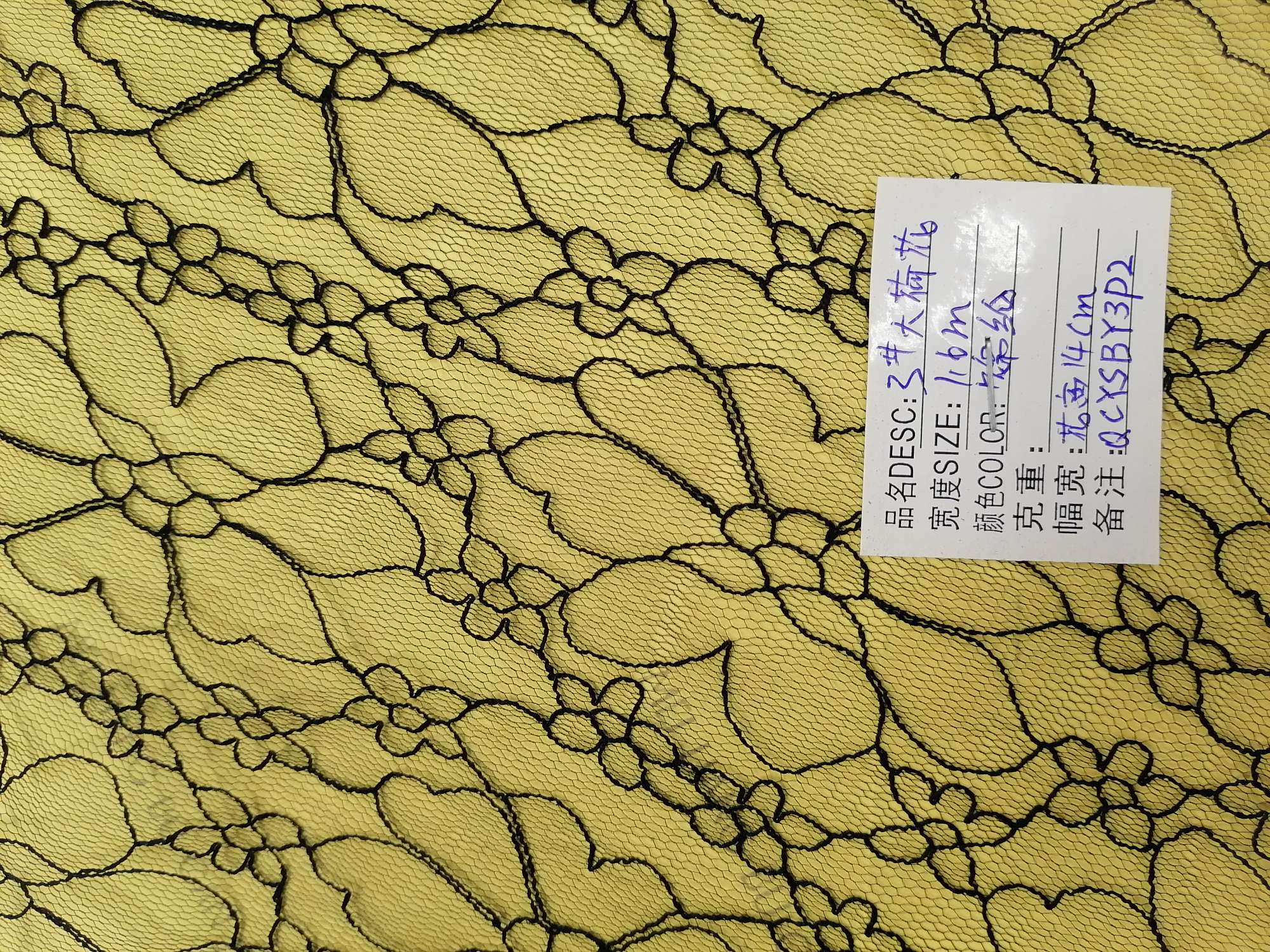 جينيريس، هوليستر كبيرة، خالية من الدانتيل، شركة إنتاج كبيرة Item Picture