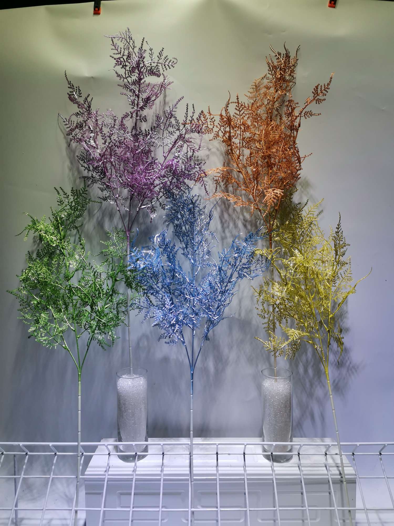 237#-032-017, 3-forked asparagus fern