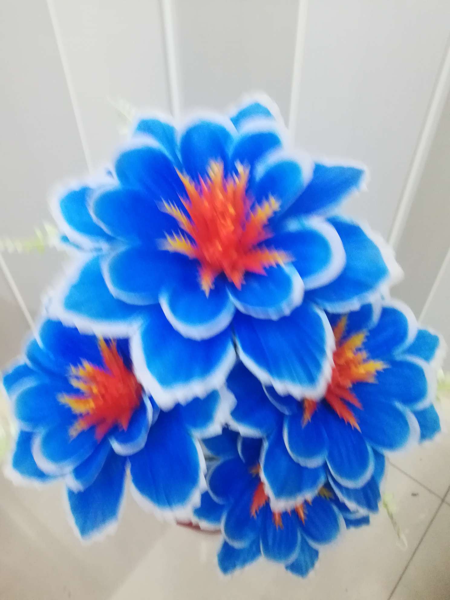 Bitter wind flower