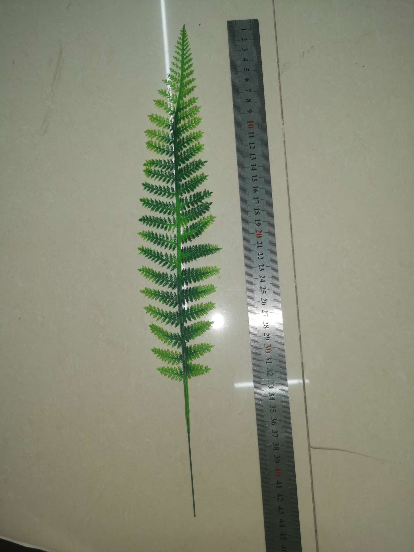 الأوراق الفارسية