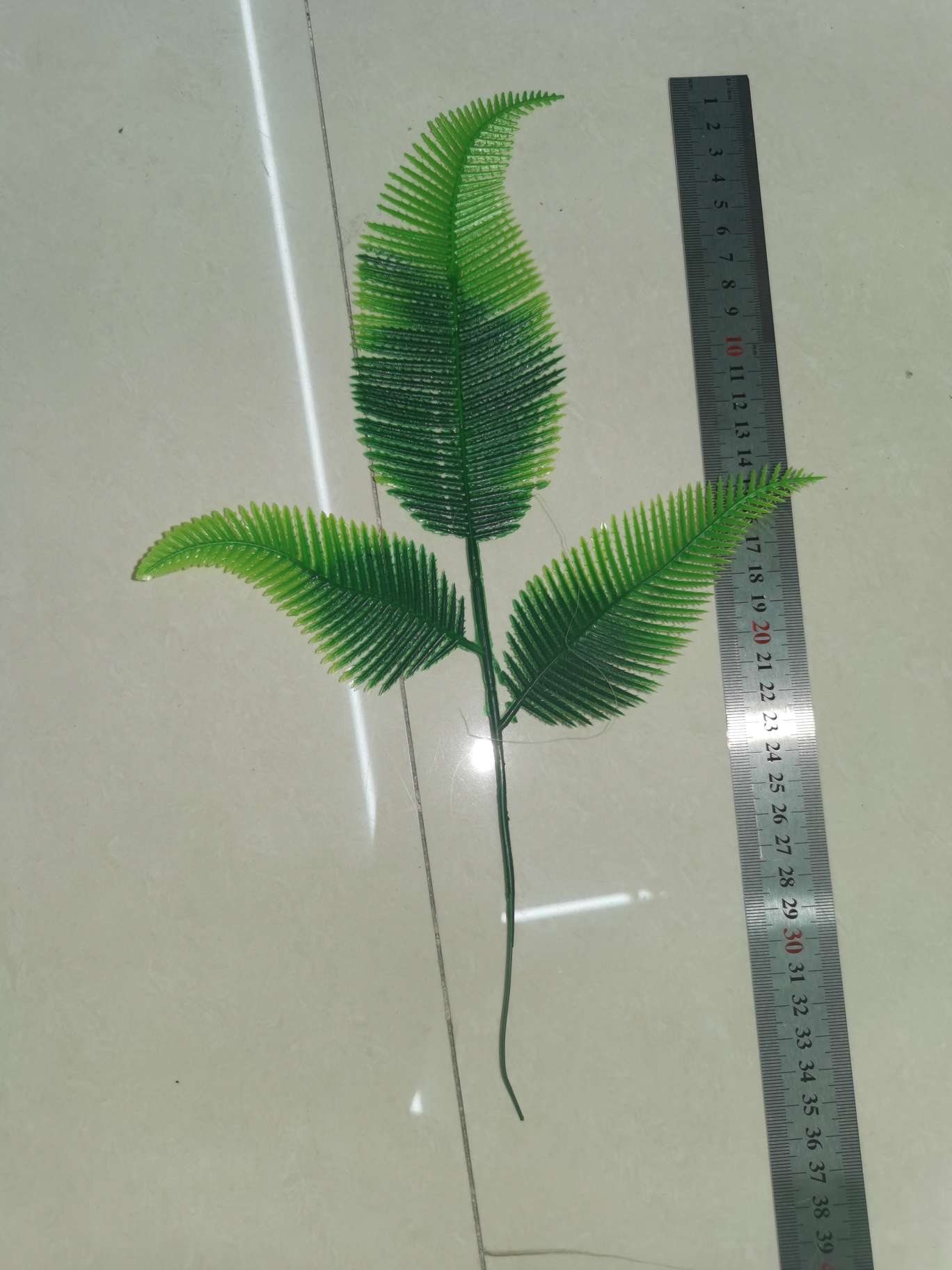 Three-pronged phoenix leaf