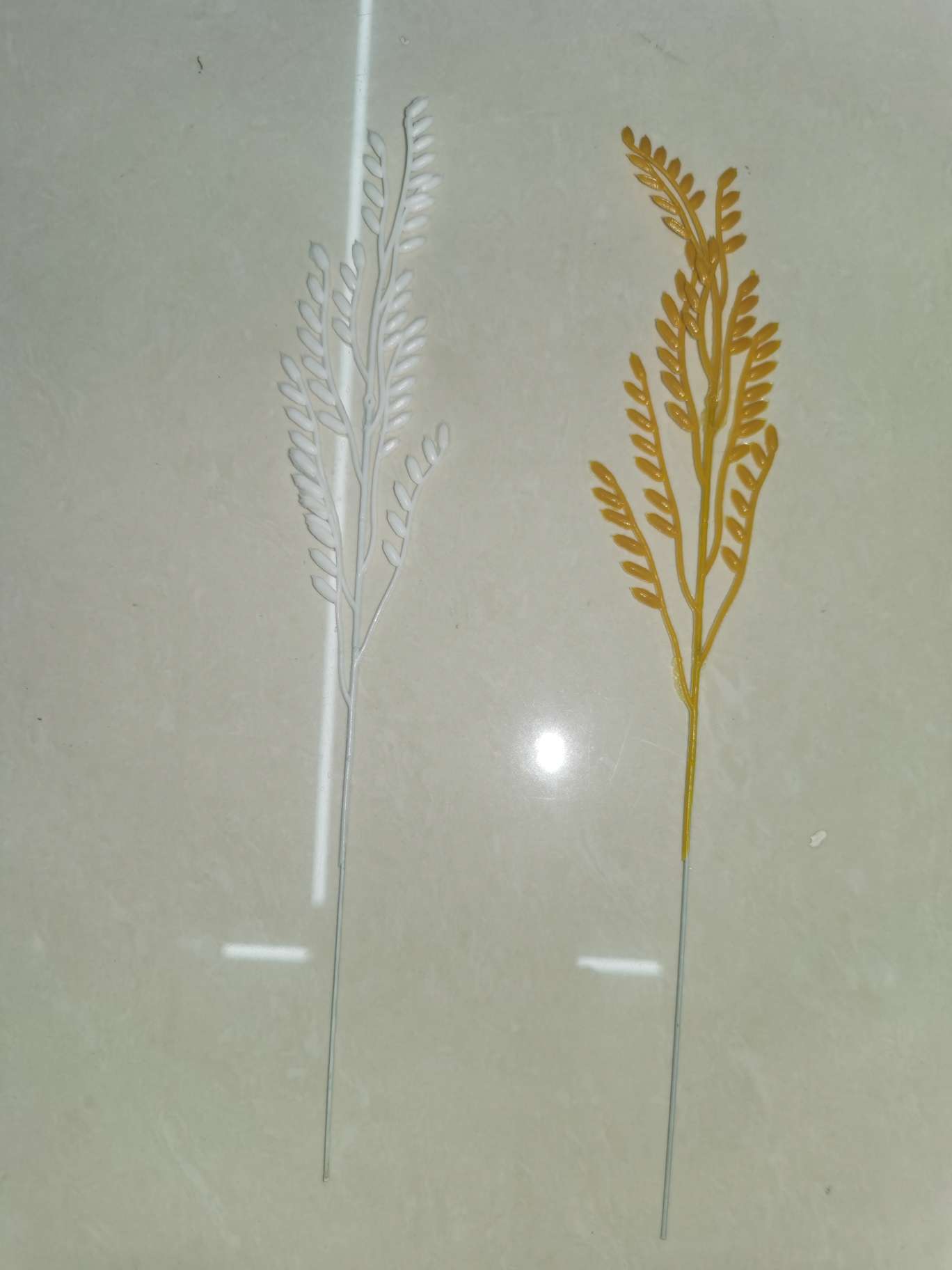 Rice details Picture