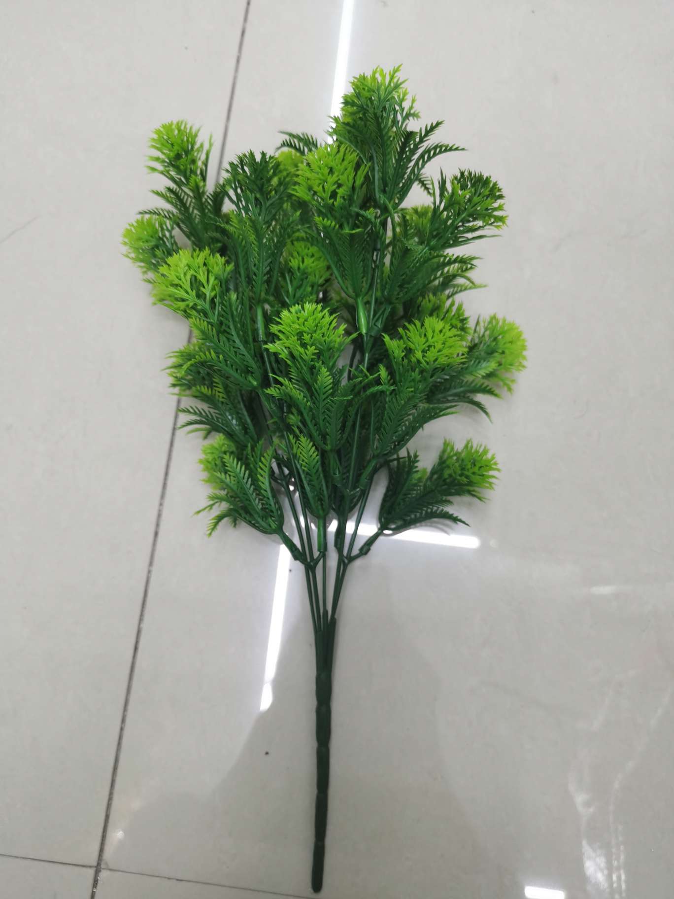 خمسة عشب السرو