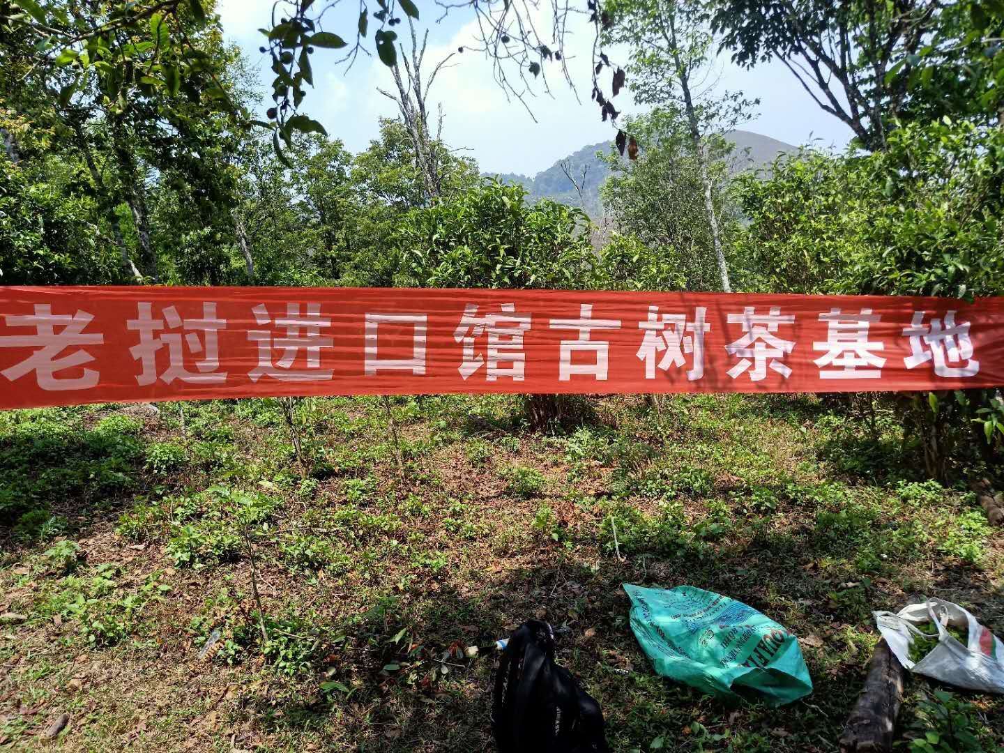 Promotional version of loose black tea from Laos, 500g per bag. 120 yuan details Picture