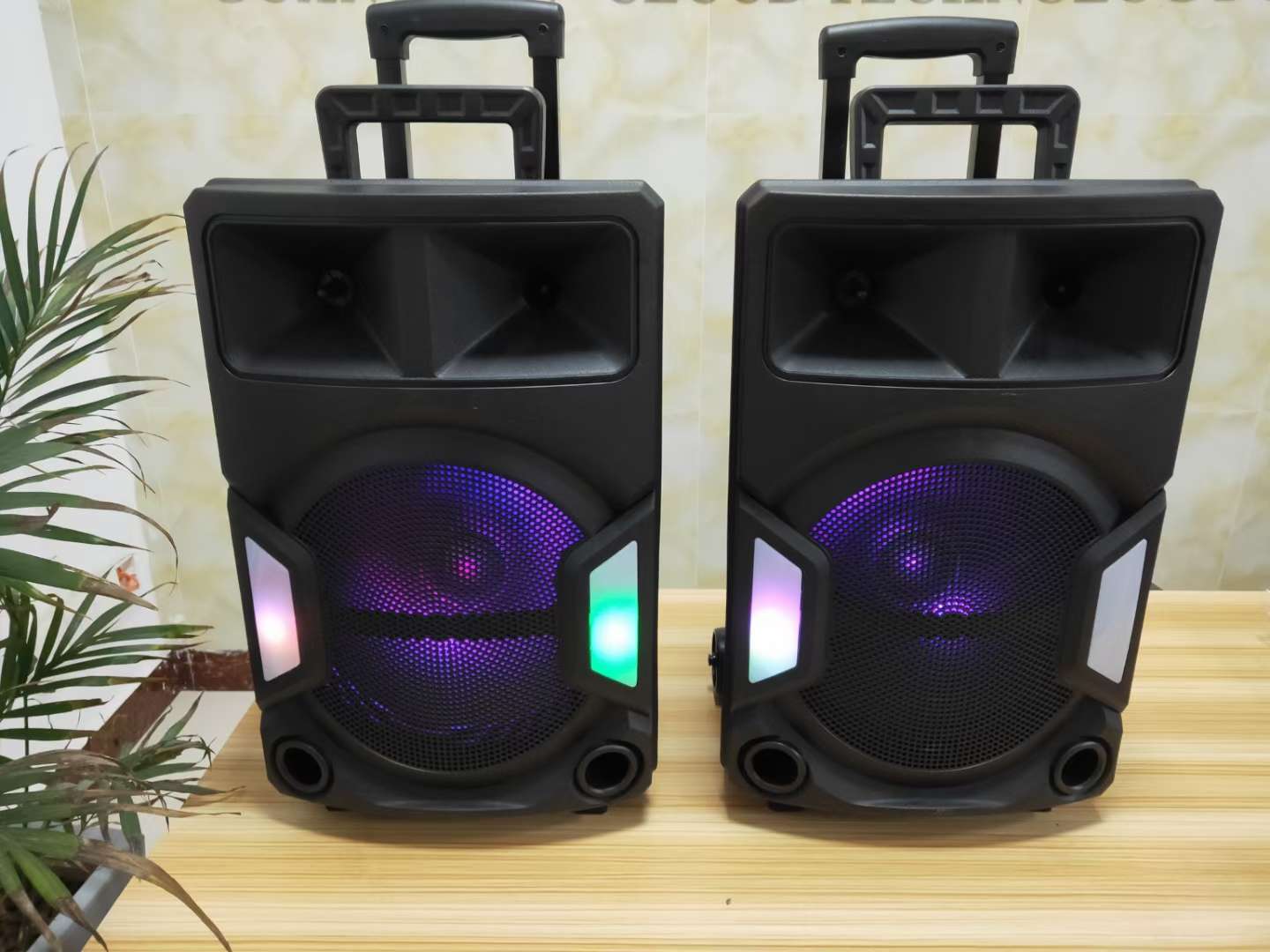 BT, 12 inch tie bar speaker, portable speaker, portable speaker wide. Dancing sound of blue tooth speaker undefined