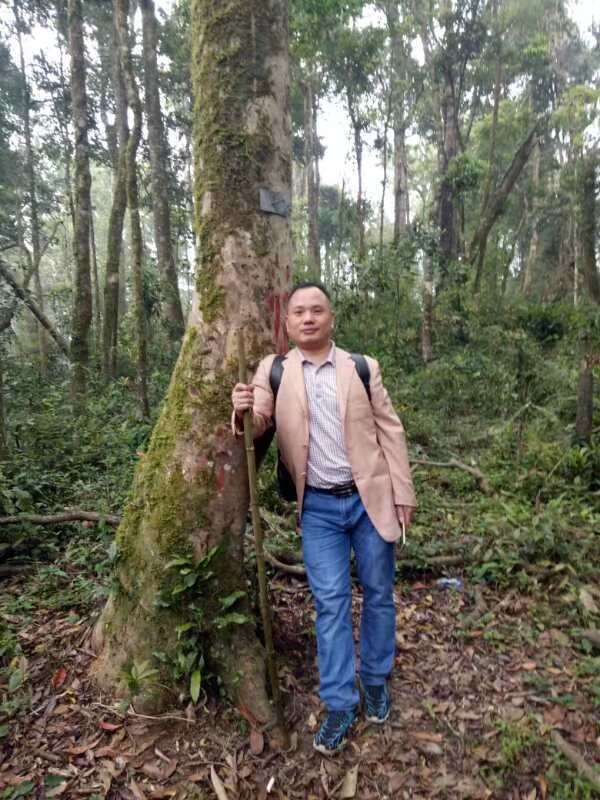 Promotional version of loose black tea from Laos, 500g per bag. 120 yuan pic 1