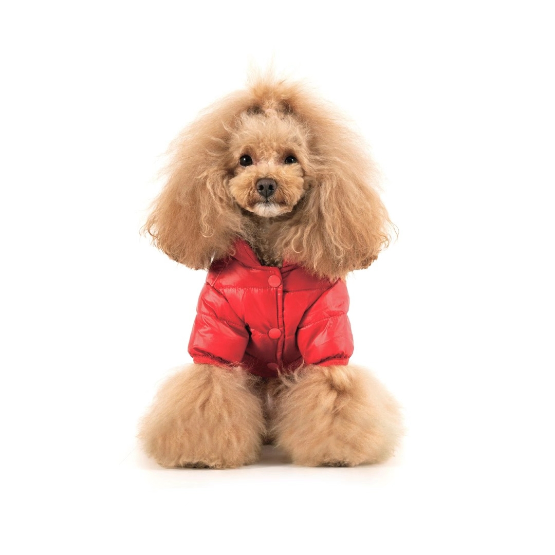 Blueport 爆款羽绒服。亲民的价格 简约的设计。三个经典色 搭配各类时尚单品都可以。详情图6