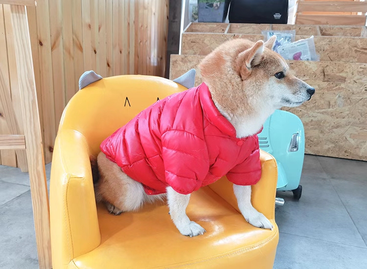 Blueport 爆款羽绒服。亲民的价格 简约的设计。三个经典色 搭配各类时尚单品都可以。详情图8