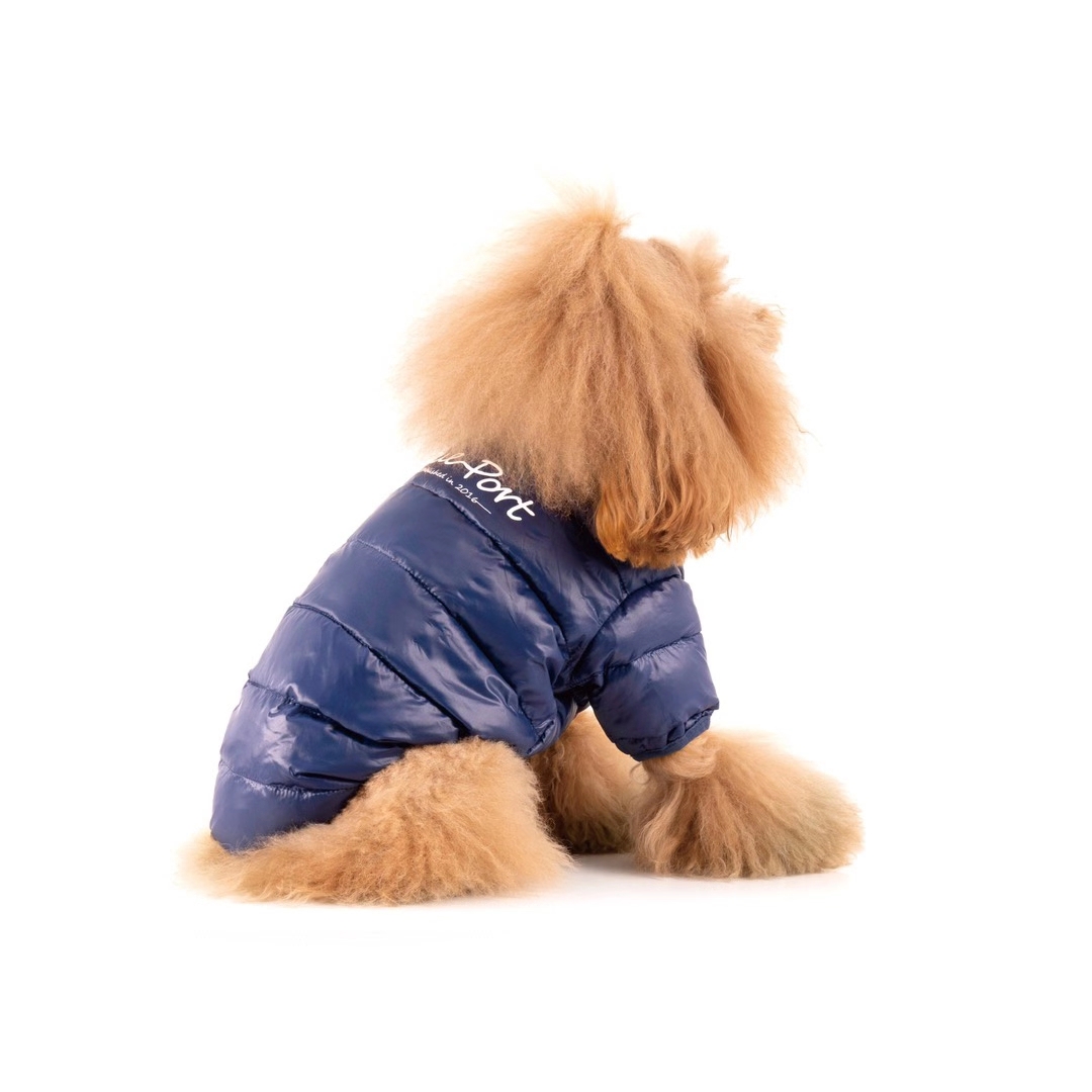 Blueport 爆款羽绒服。亲民的价格 简约的设计。三个经典色 搭配各类时尚单品都可以。详情图10