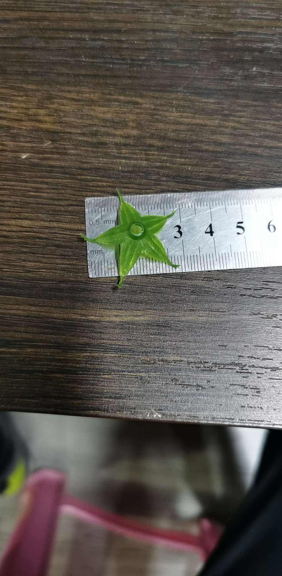 配件6