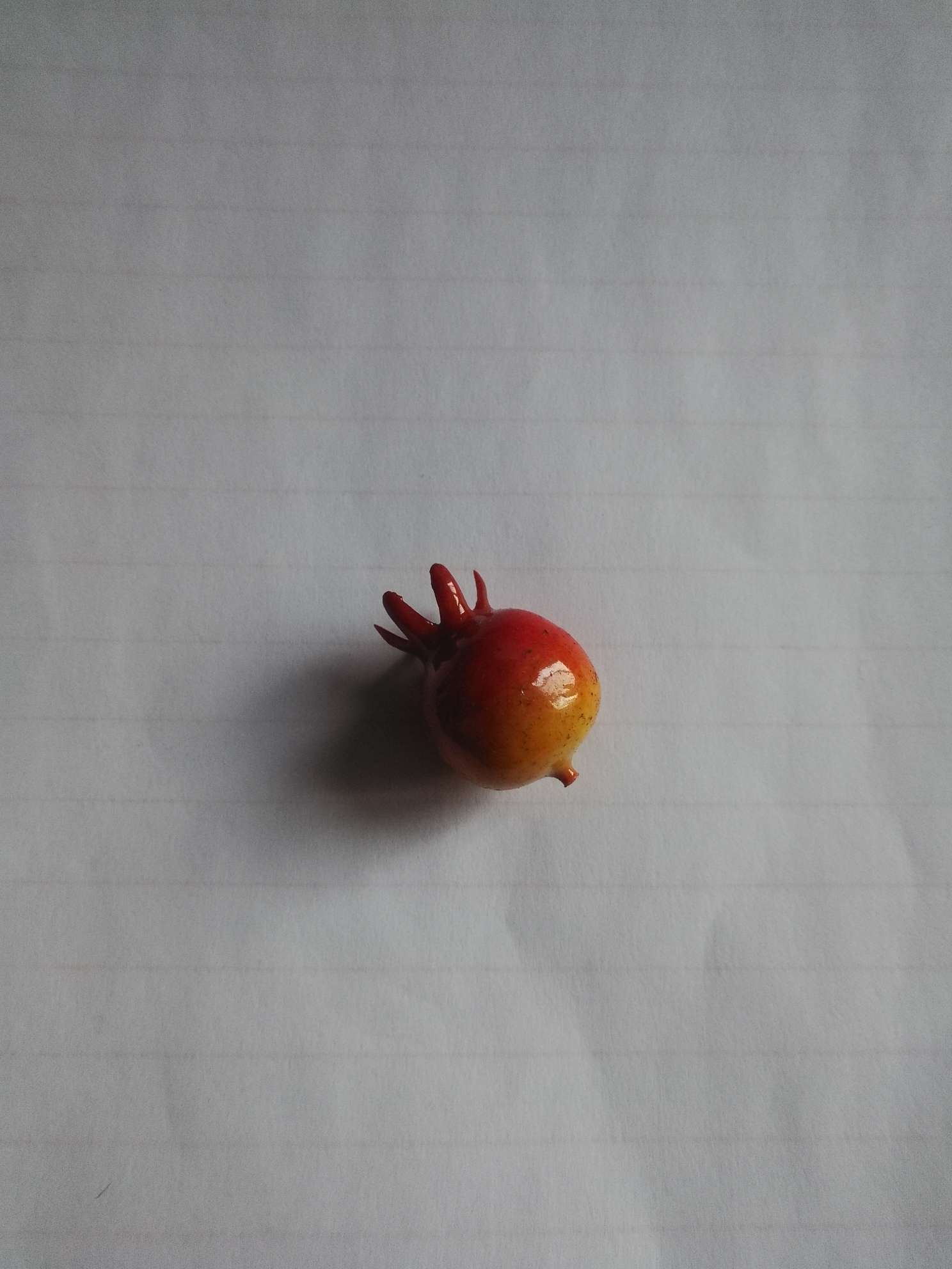 仿真蔬菜 ，55系列，tty