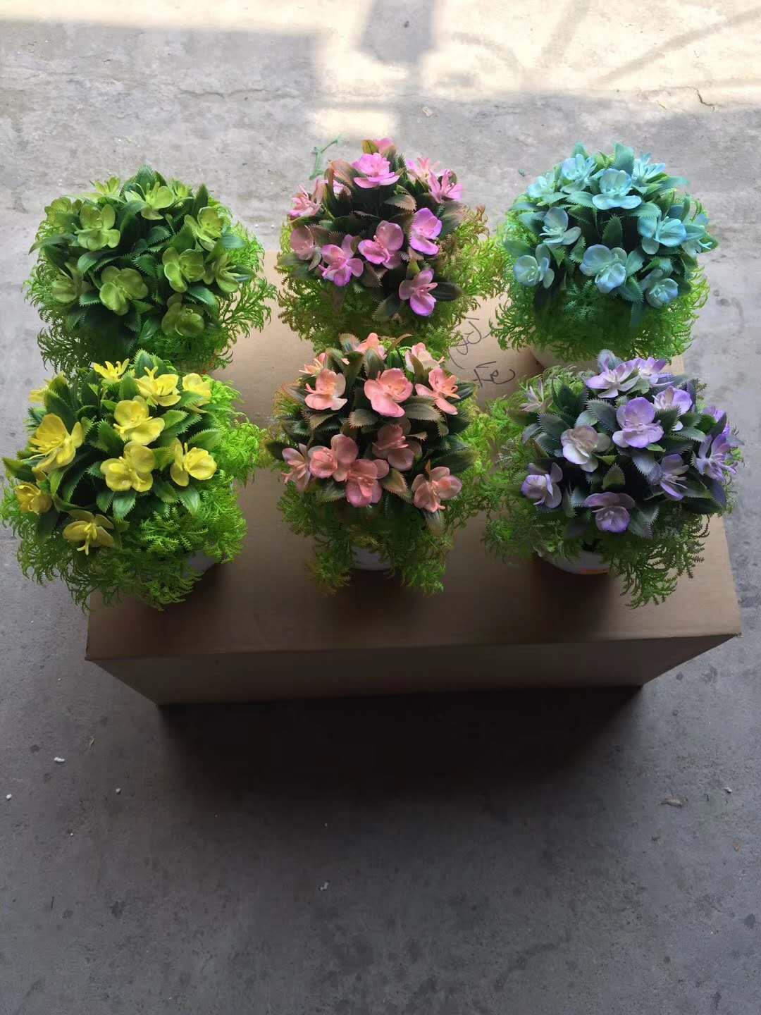Little butterfly bonsai