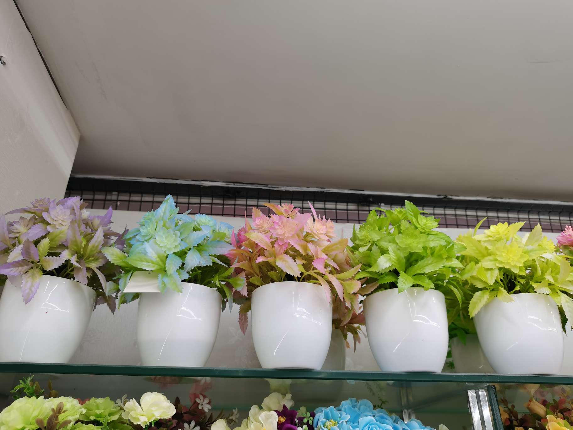 Colorful bonsai